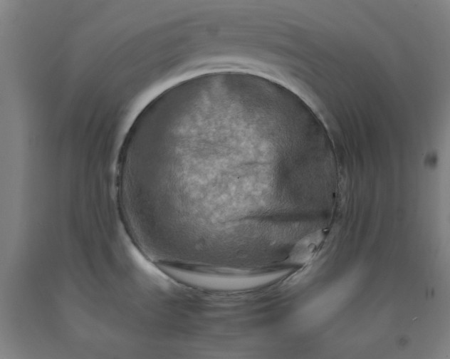 X0000092231535200709281054