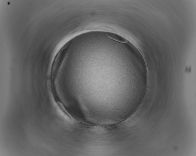 X0000092231536200709281054