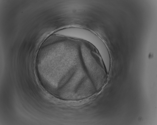 X0000092230001200710051228