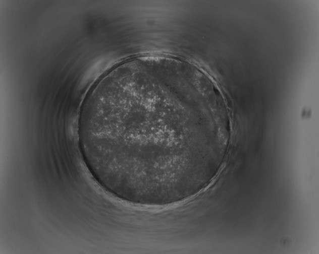 X0000092230002200710051228