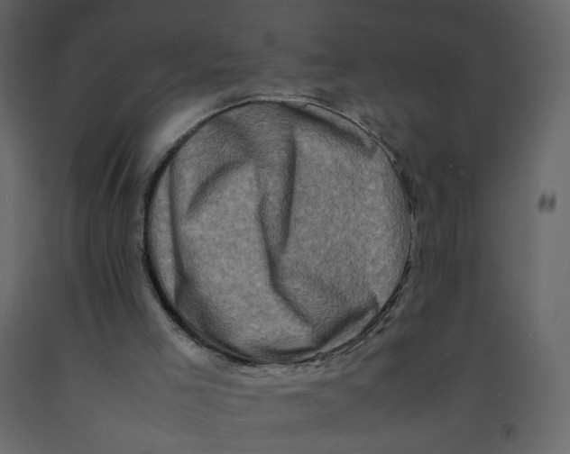 X0000092230005200710051228