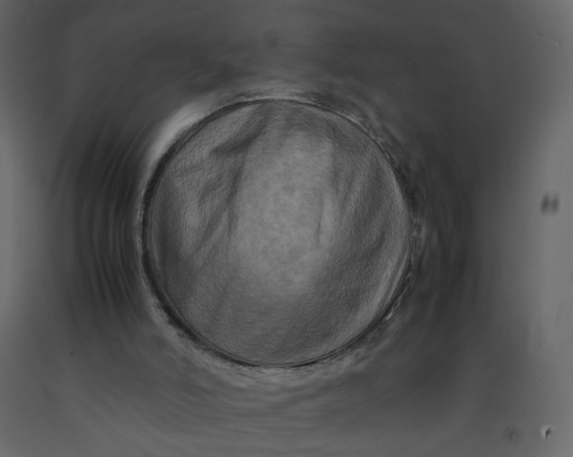 X0000092230006200710051228