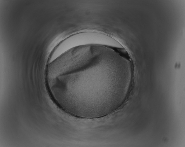 X0000092230007200710051228