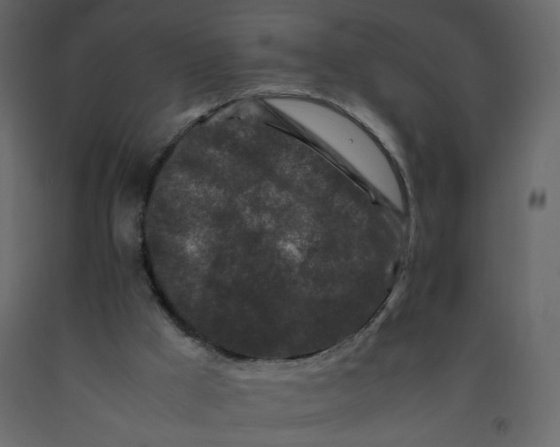 X0000092230009200710051228