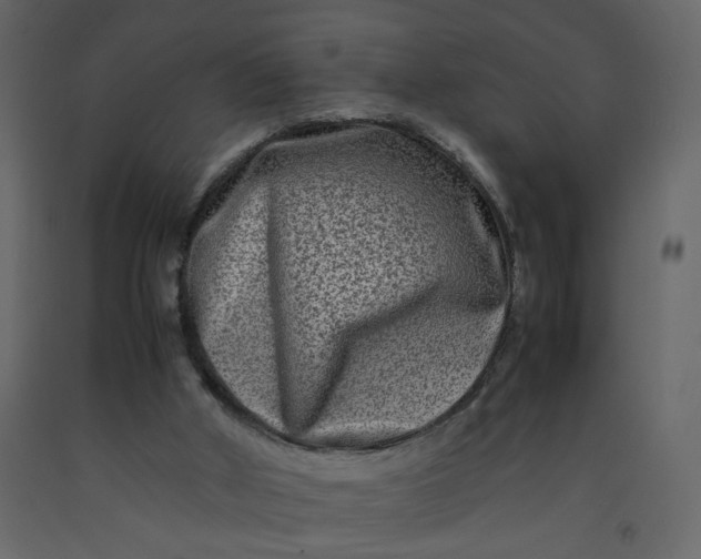 X0000092230010200710051228