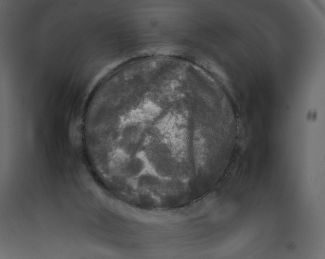 X0000092230012200710051228