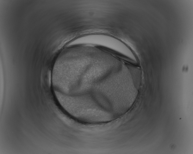 X0000092230013200710051228