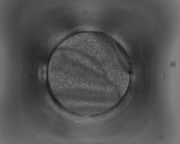 X0000092230014200710051228