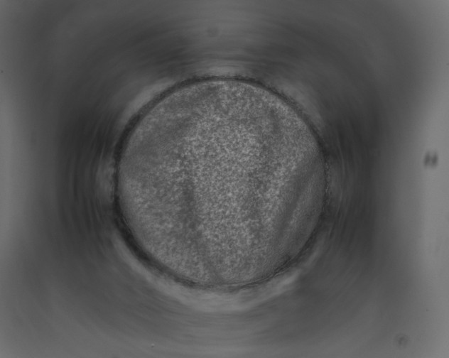 X0000092230016200710051228