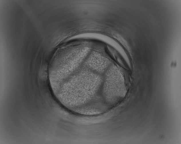 X0000092230017200710051228