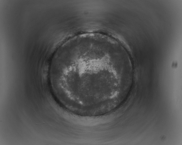 X0000092230018200710051228