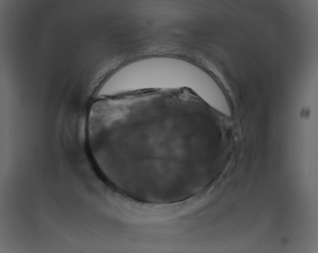 X0000092230019200710051228