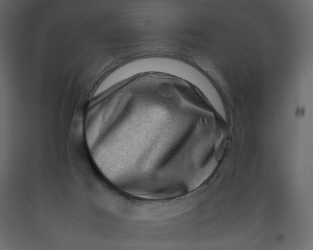 X0000092230021200710051228