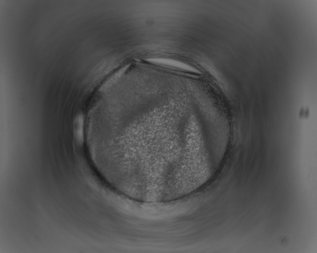 X0000092230022200710051228