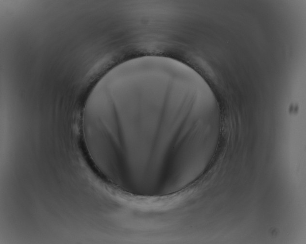 X0000092230023200710051228