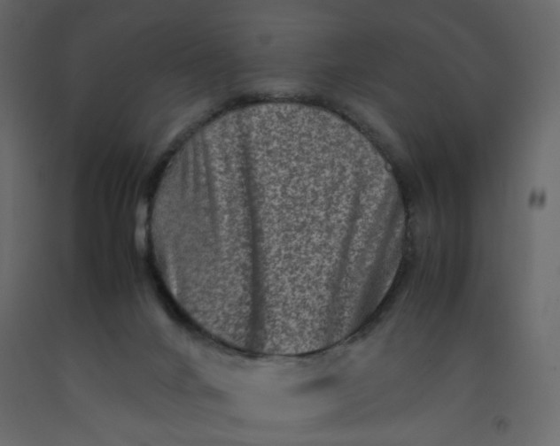 X0000092230024200710051228