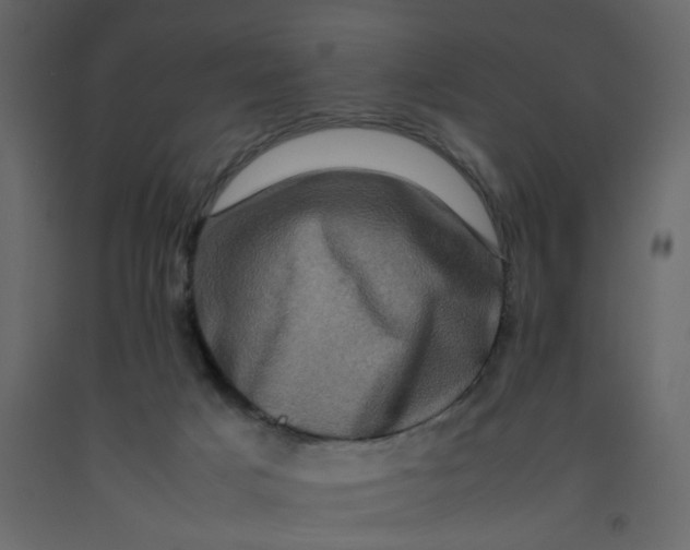 X0000092230025200710051228