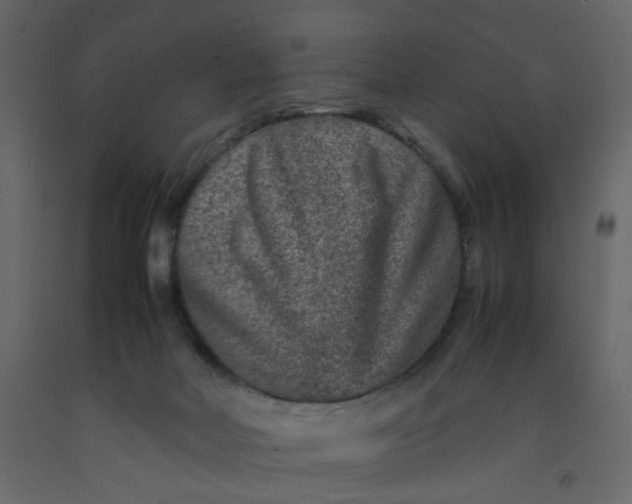 X0000092230026200710051227