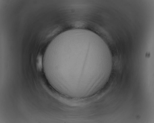 X0000092230028200710051227