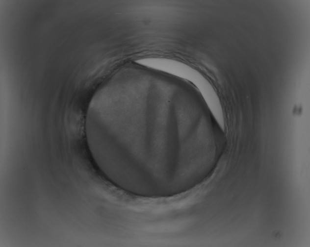 X0000092230029200710051227