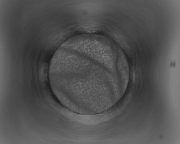 X0000092230030200710051227