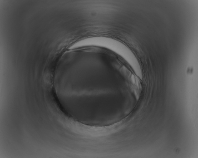 X0000092230031200710051227