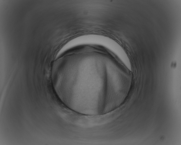 X0000092230033200710051227