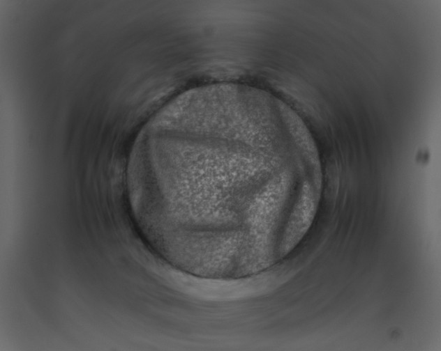 X0000092230034200710051227