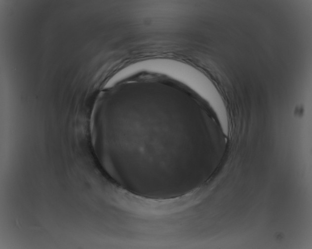 X0000092230035200710051227