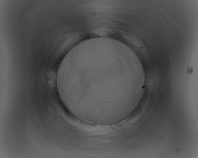 X0000092230036200710051227