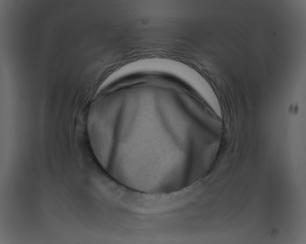 X0000092230037200710051227