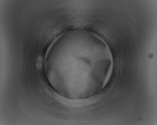 X0000092230038200710051227