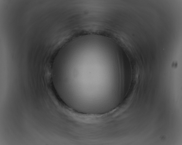 X0000092230040200710051227