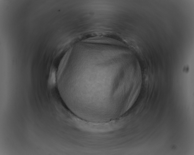 X0000092230042200710051227