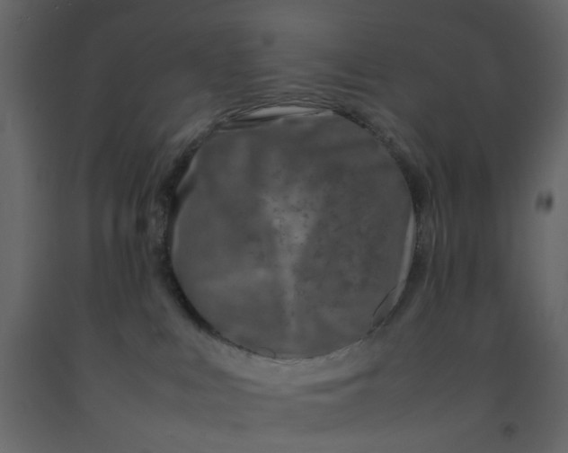 X0000092230043200710051227