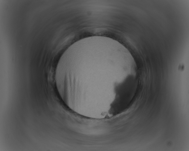 X0000092230044200710051227