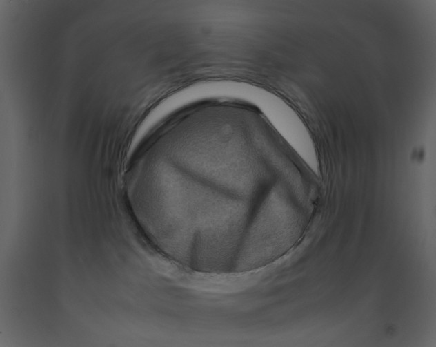 X0000092230045200710051227