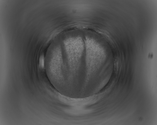 X0000092230046200710051227