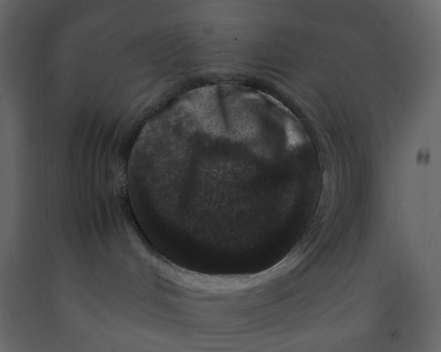 X0000092230048200710051227