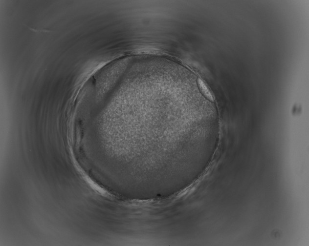 X0000092230049200710051226