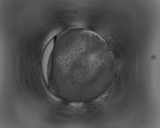 X0000092230051200710051226