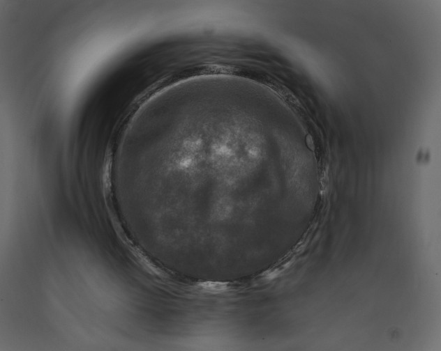 X0000092230052200710051226