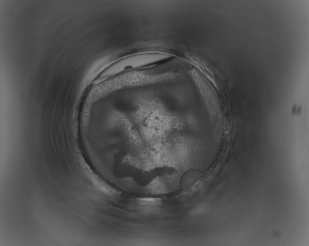 X0000092230053200710051227