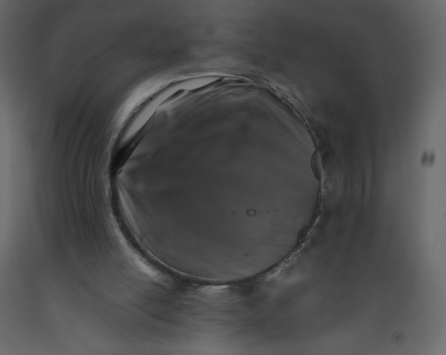 X0000092230054200710051227