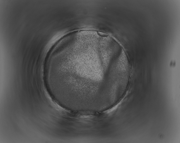 X0000092230055200710051227