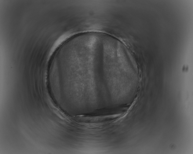 X0000092230056200710051227