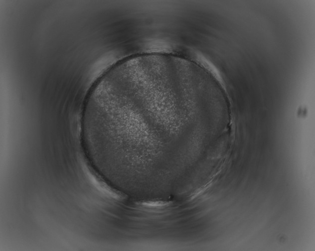 X0000092230059200710051227