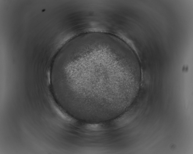 X0000092230061200710051227