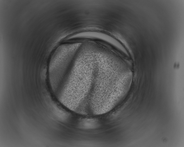 X0000092230063200710051227