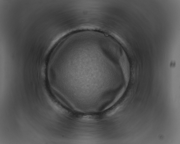 X0000092230064200710051227